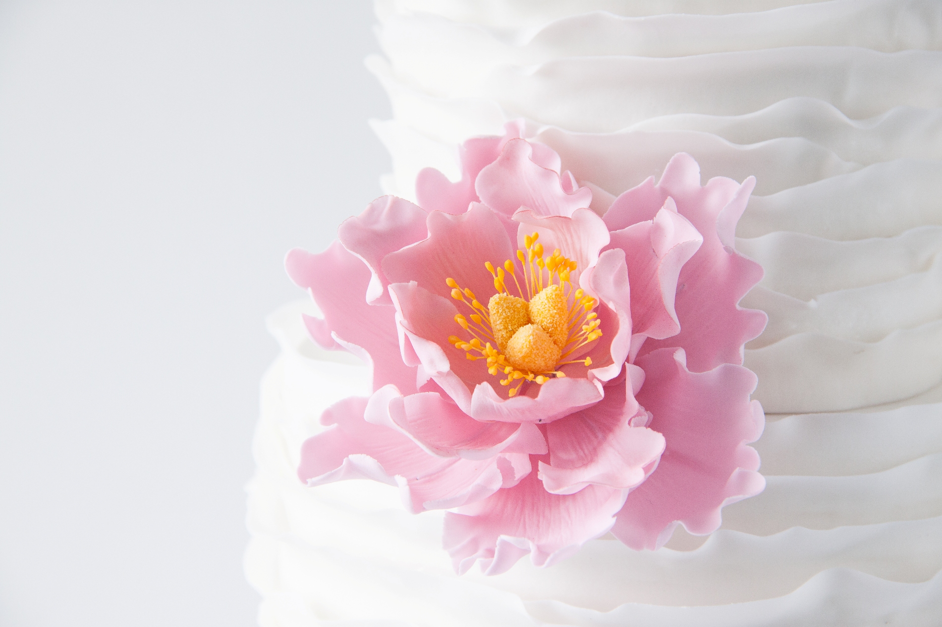 Andrea Kargl, das Tortenstudio