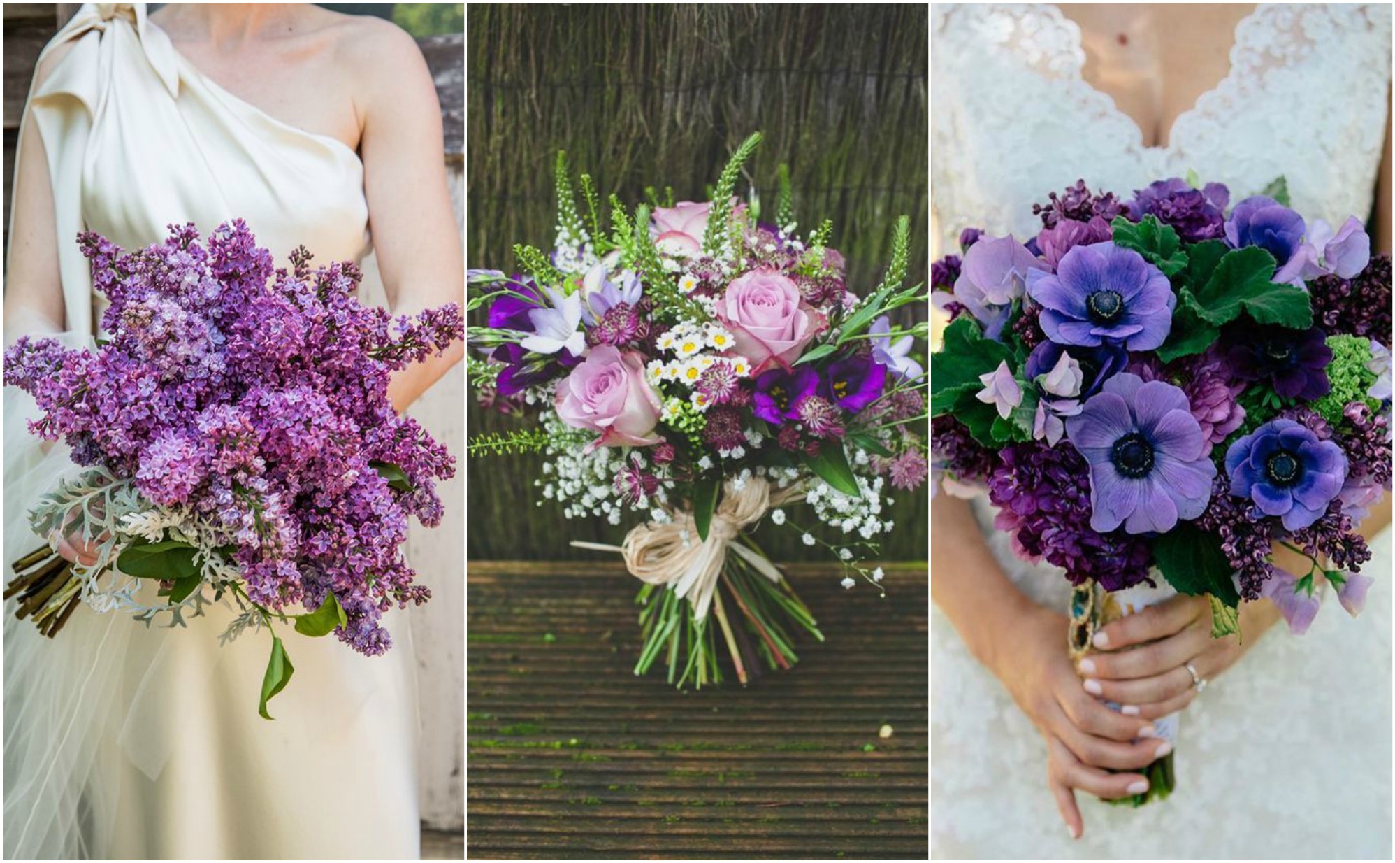 Die ultimative Farbe des Jahres 2018 – Ultra Violet Blumen Die ultimative Farbe des Jahres 2018 – Ultra Violet Blumen