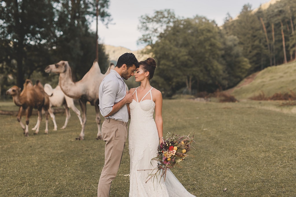 Styled Shoot: Marokko Stil und Kamel-Liebe