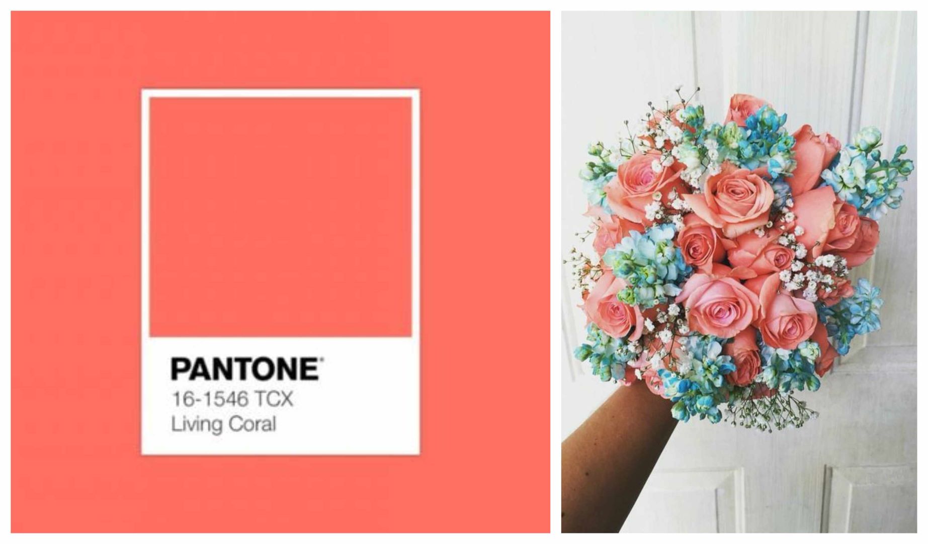 Pantone Image living Coral